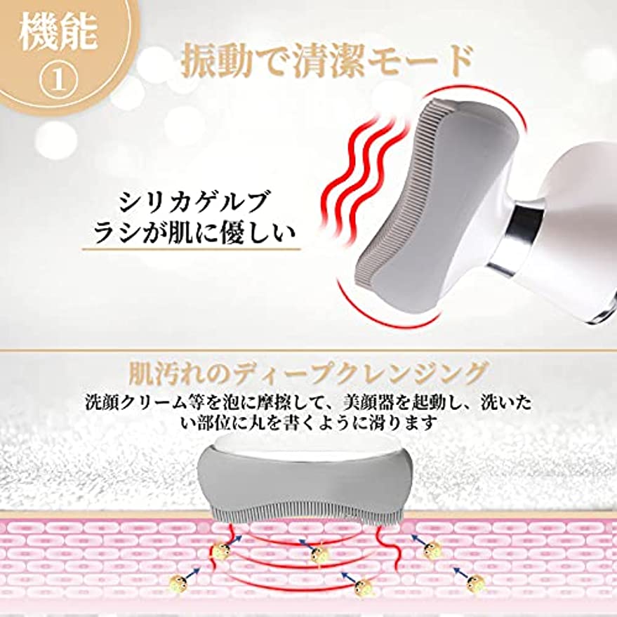 Neck Wrinkle Remover Facial Cleansing Brush EMS Vibration Photon Heating Therapy